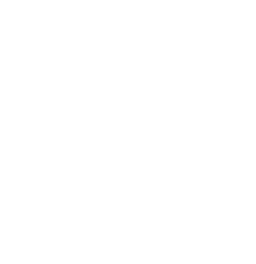 logo medieval