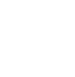 logo medieval